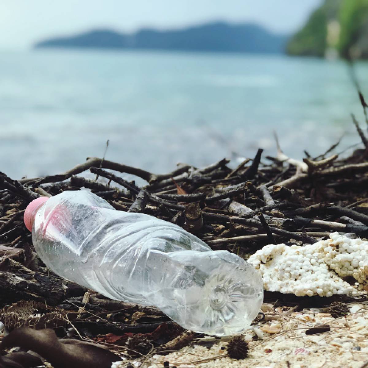 World Environment Day 2023 Plastic Bottle