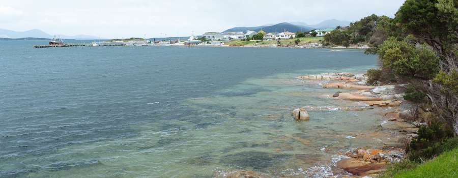 2022 Short-Tailed Shearwater season a success on Flinders Island