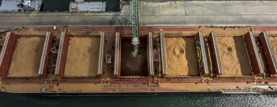 TasPorts progresses Bell Bay Shiploader upgrade with contractor appointed