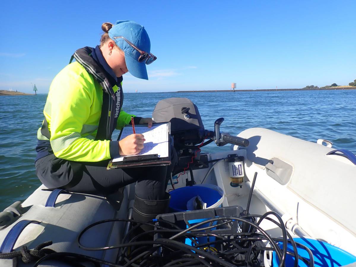 Quay Link Water Quality Testing