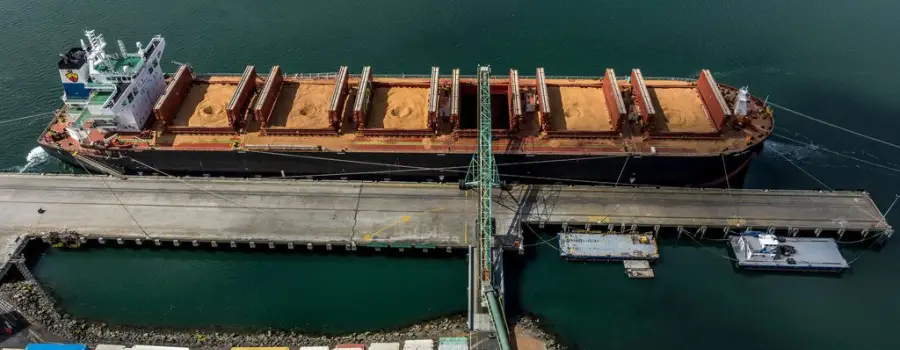 Bell Bay Ship loader project reaches first major design milestone